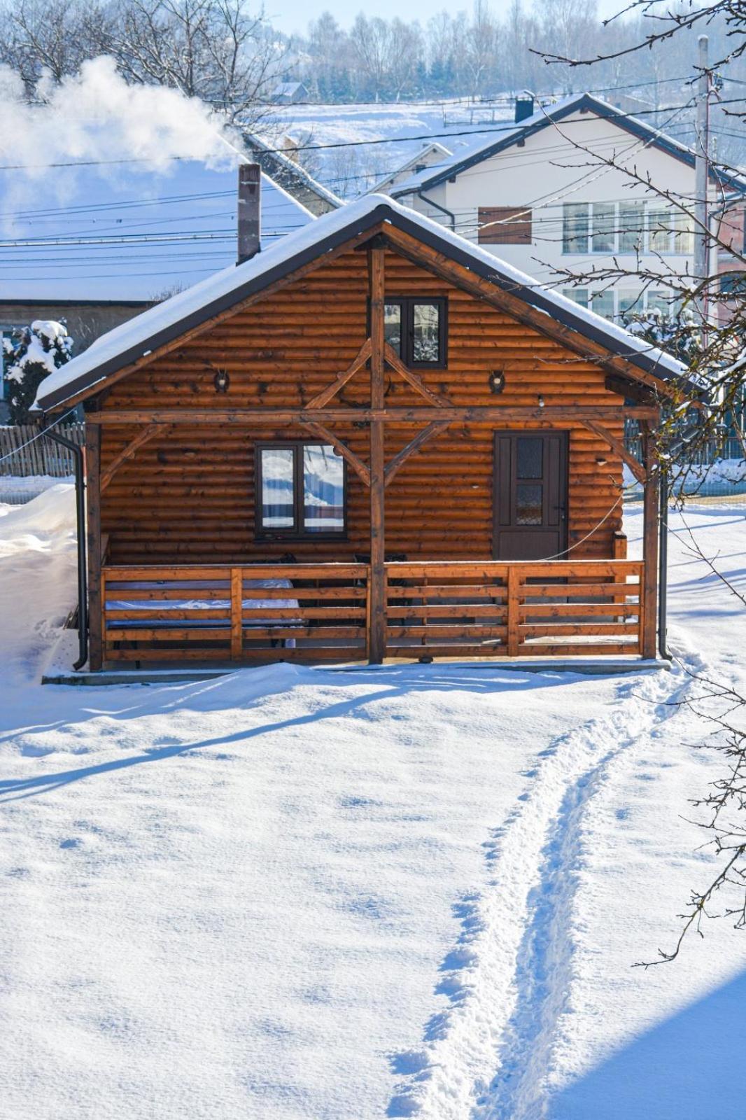 Casuta Adelina Borsa Villa ภายนอก รูปภาพ